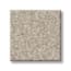 Battery Park Almond Texture Carpet with Pet swatch